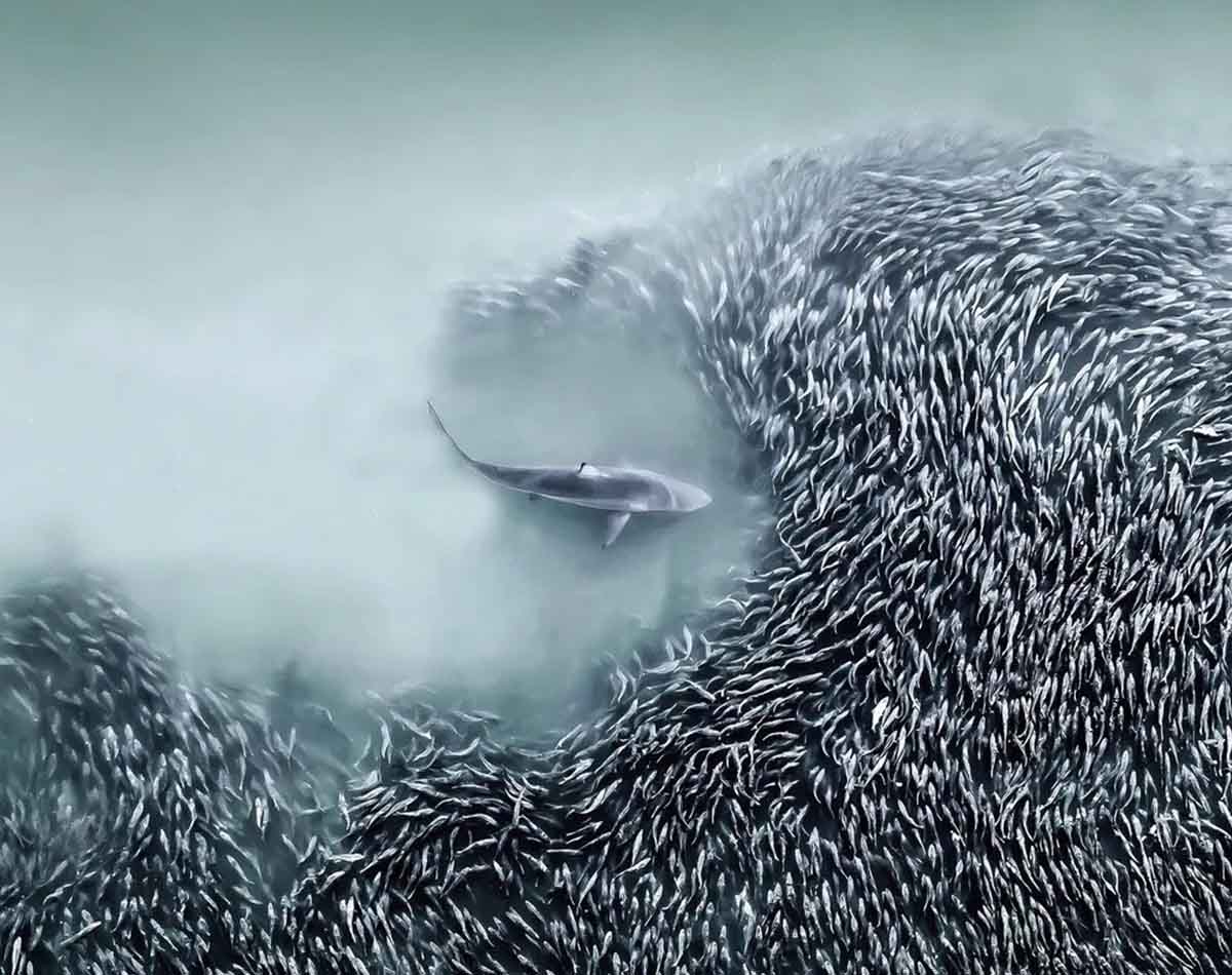 O melhor da Fotógrafia Aérea Internacional em 2025